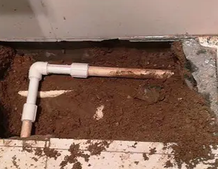 宁蒗测漏水哪家好