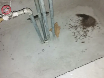 宁蒗卫生间测漏水价格明细