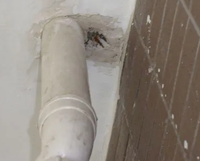 宁蒗漏水检测哪家好